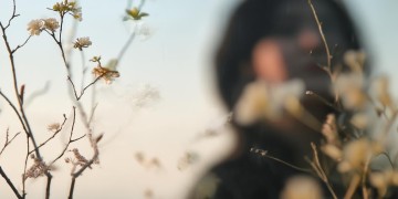 二十四节气歌与专业歌手有什么关联？