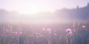 晨曦中的拂晓究竟是什么歌？