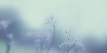 思念总会变的无力到底是哪首歌？