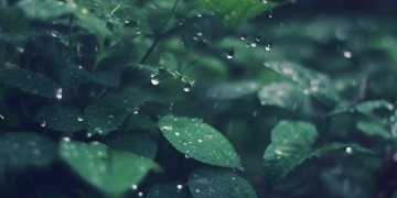 雨落在了心究竟是哪首歌的歌词？