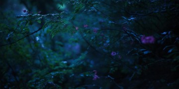 明夜我负心人究竟出自哪首歌？