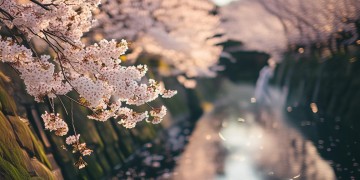 宣告春天这首日语歌歌词究竟是什么？