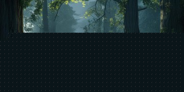 那首叫北斗什么的歌究竟是哪首？