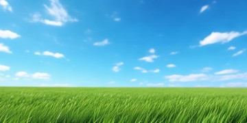 天蓝蓝草绿绿究竟出自哪首歌？