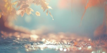 可化成我眼里的年华出自哪首歌？
