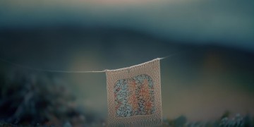 找不到方向的忠告究竟是哪首歌？