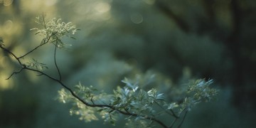 从此我不再孤独出自哪首歌？