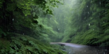 我很开心的雨究竟是哪首歌？