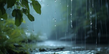 与众不同的雨究竟是哪首歌？
