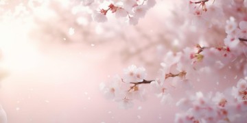 如果没有爱又如何出自哪首歌？